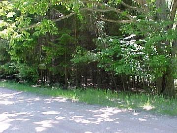 1st image of 9205 White Pine Dr #96