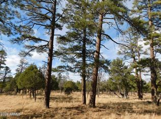 4560 Durango Dr, Happy Jack, AZ 86024