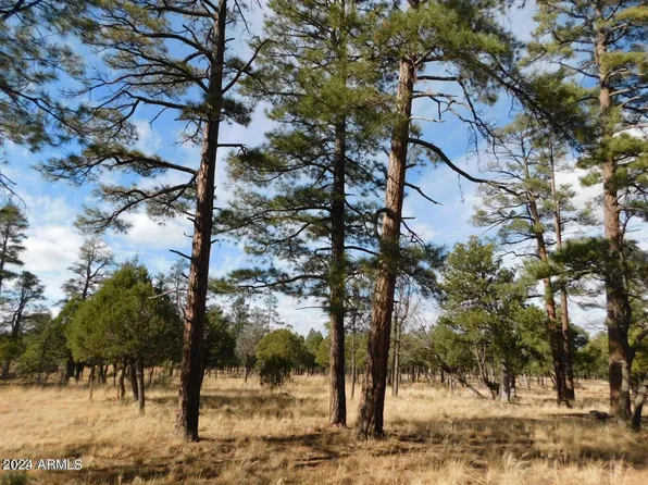 4560 Durango Dr, Happy Jack, AZ 86024