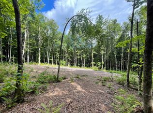 58 Brickyard Rd #BYO14, East Dover, VT 05341