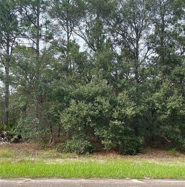 1st image of 3425 W Brazilnut Rd