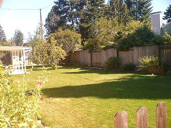 back yard looking east