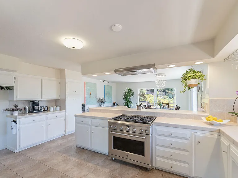 Chef's kitchen with stainless steel appliances.