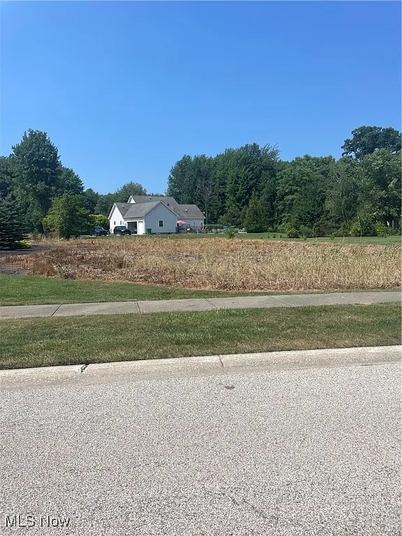 Darlington Ct photo 1