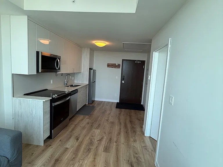 60 Frederick St #3401 — Photo 4