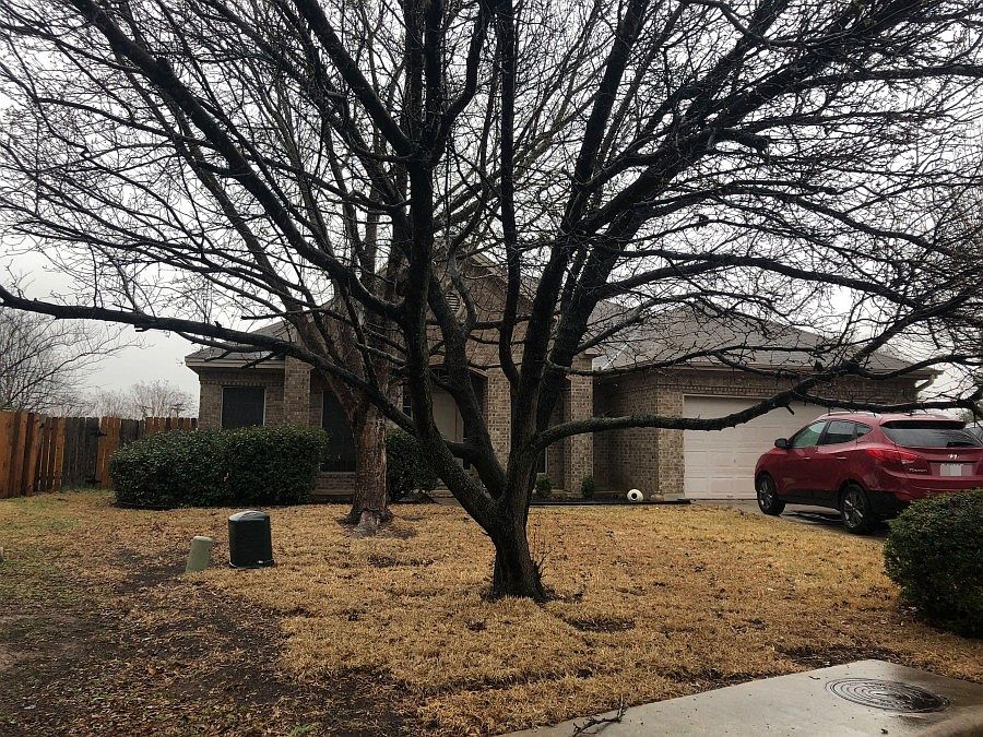 2nd image of 115 Highalea Ct
