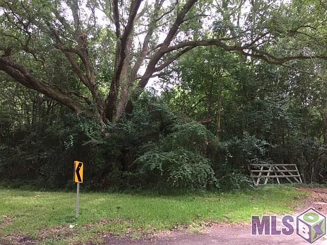 2nd image of Foster Rd