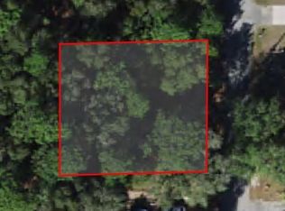 8592 N Discalfani Loop, Crystal River, FL 34428