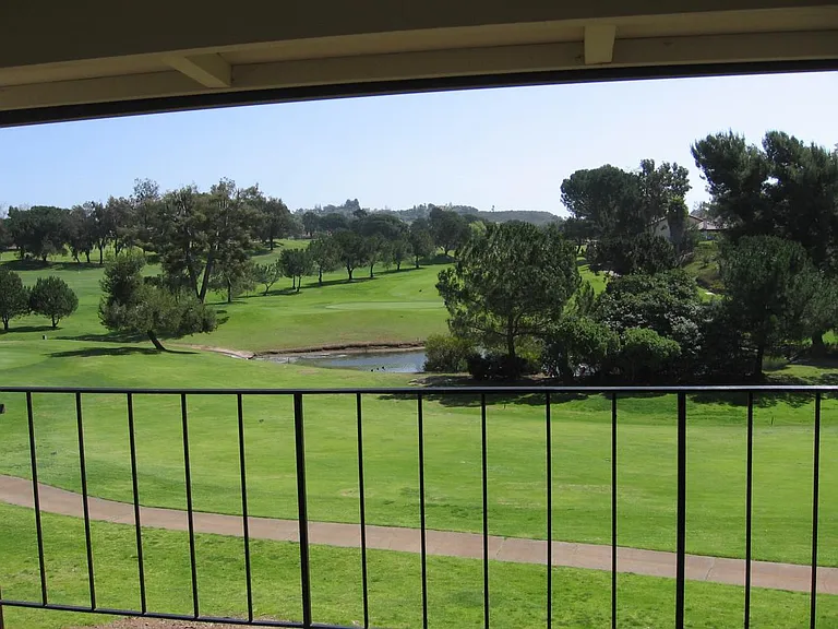 View from Living Rm