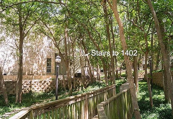 Wooded Path to Stairway