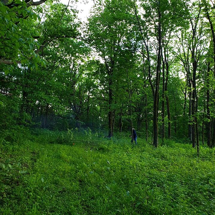2nd image of 4605 Mounds Park Rd