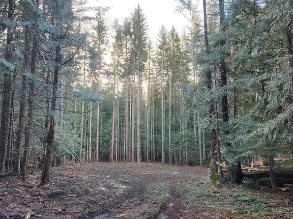 37030 E Gomes Ln, Government Camp, OR 97028