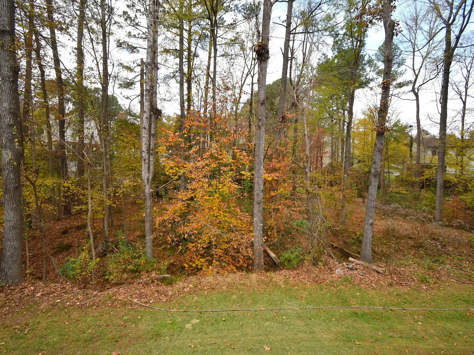 3 bed, 1300 sqft, $1,795 — Photo 3