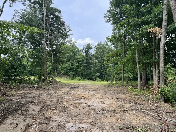 22 Annie Hollow Rd, Westmoreland, TN 37186