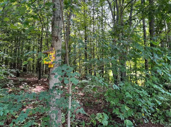 (undisclosed Address), Hayesville, NC 28904