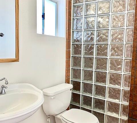 Lower Level: Bedroom 3 attached bathroom