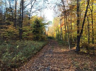 0 Pashley Rd, Indian Lake, NY 12842