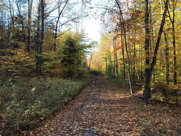 0 Pashley Rd, Indian Lake, NY 12842