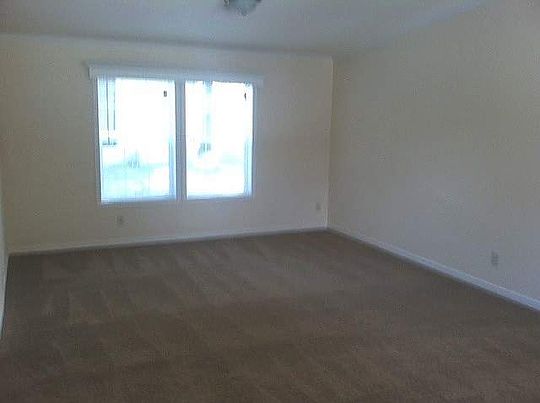 5th image of 1331 Black Olive Dr