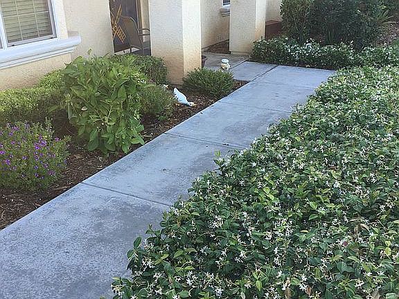 Front Walkway