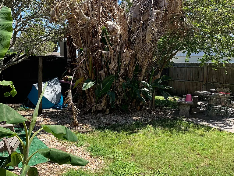 Shared back yard