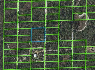1339 White Wolf Rd, Sebring, FL 33870