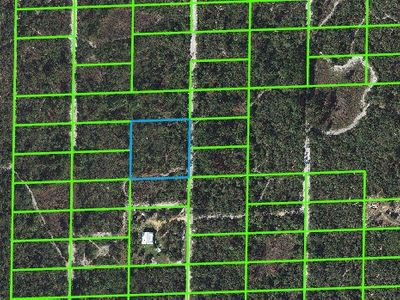 1339 White Wolf Rd, Sebring, FL, 33870