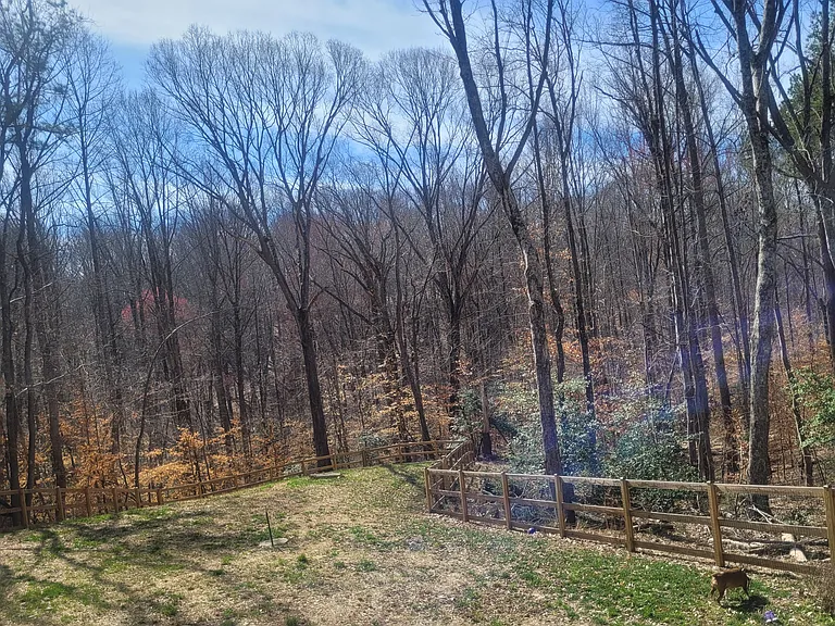 Michael Dr — Photo 8