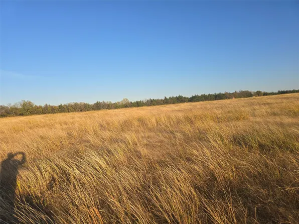 TRACT 4 County Road 36000, Honey Grove, TX 75446