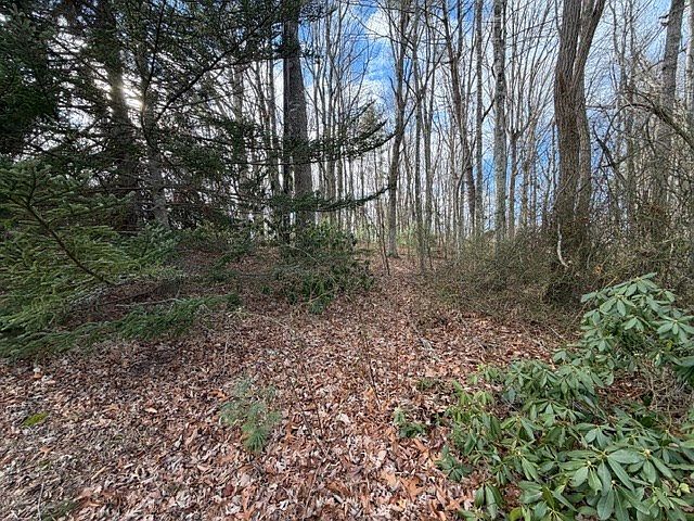 2nd image of Lots 3&4 Ivanhoe Rd