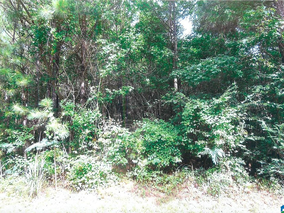 2nd image of 0 Dry Creek Rd