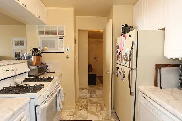 3950 N Lake Shore Dr #C2101 — Photo 5