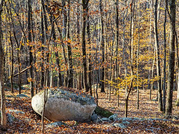 33rd image of this home