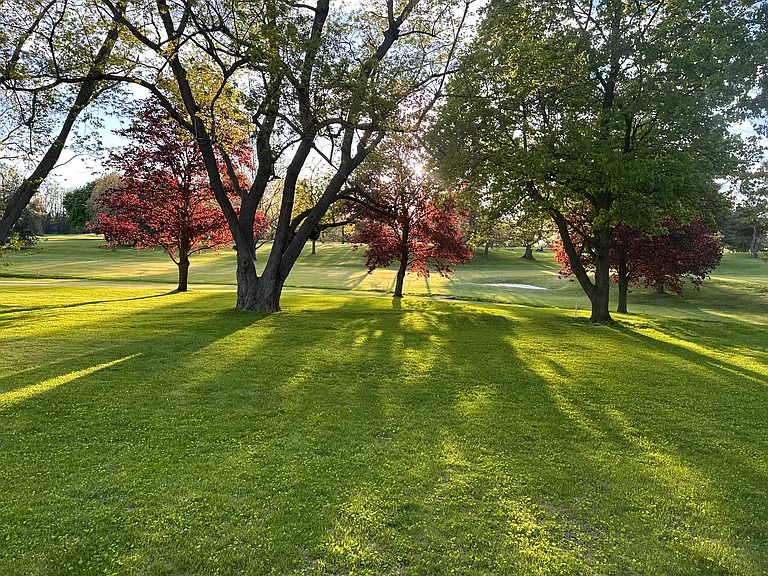 Private backyard