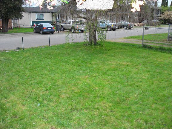 Left Front Yard 