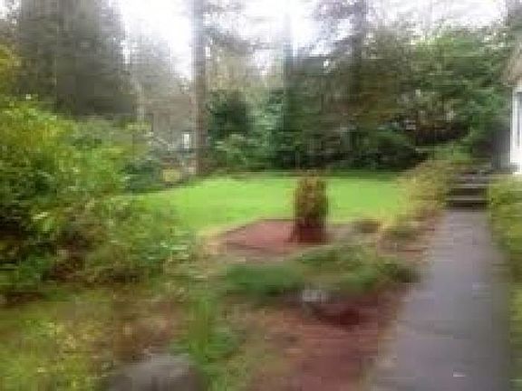 Front yard