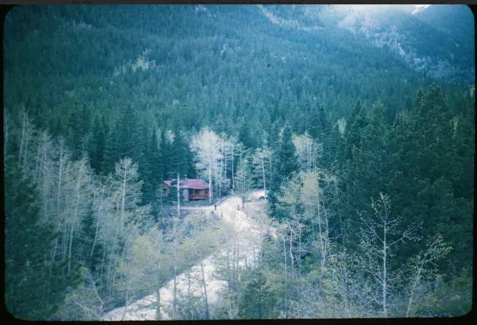 310 Morrison Ln — Photo 3