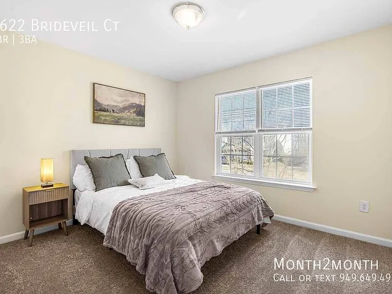 3622 Brideveil Ct — Photo 19