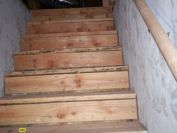 Attic Stairs