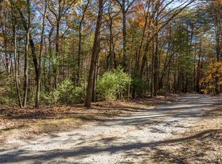 Township Road 2 Anderson Creek Trl #2-OLD, Ellijay, GA 30536