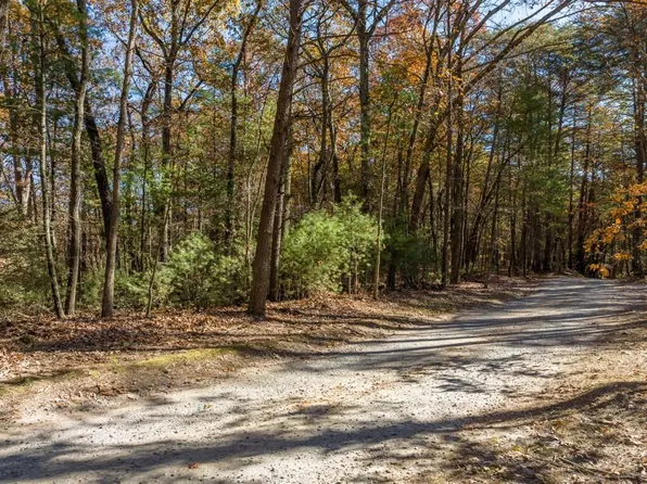 Township Road 2 Anderson Creek Trl #2-OLD, Ellijay, GA 30536