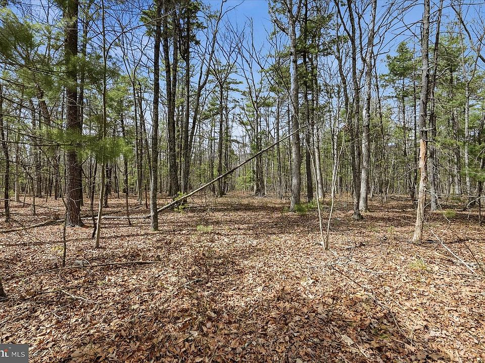 2nd image of 16B Back Mountain Rd