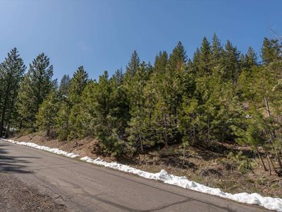 14687 E Reed Ave, Truckee, CA, 96161