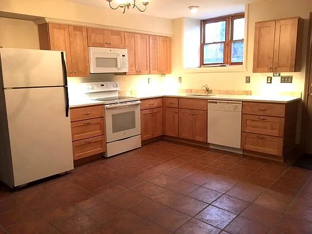 1 bed, 800 sqft, $1,800 — Photo 1