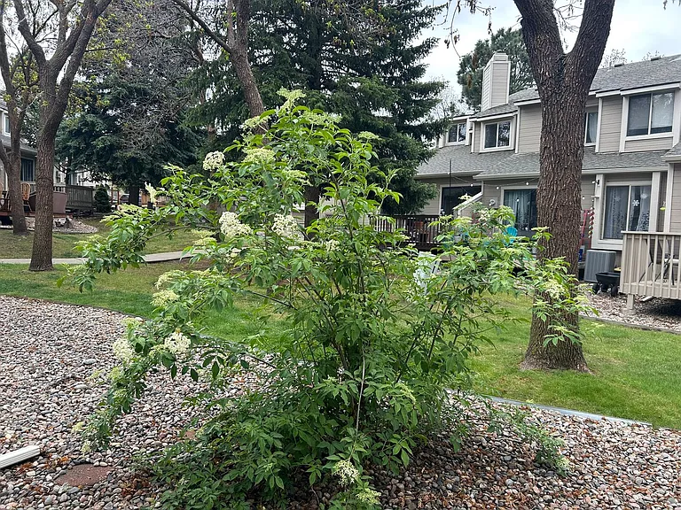 3483 Atlantic Dr — Photo 20