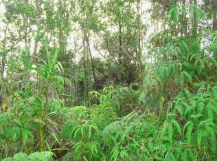 Jungle King Ave LOT 23, Mountain View, HI 96771