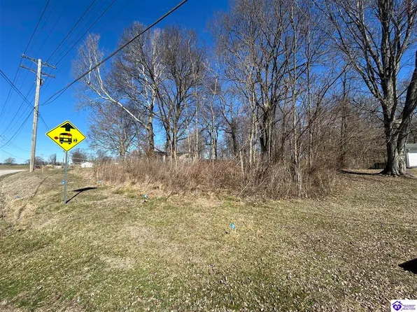 8659 Brandenburg Rd, Ekron, KY 40117