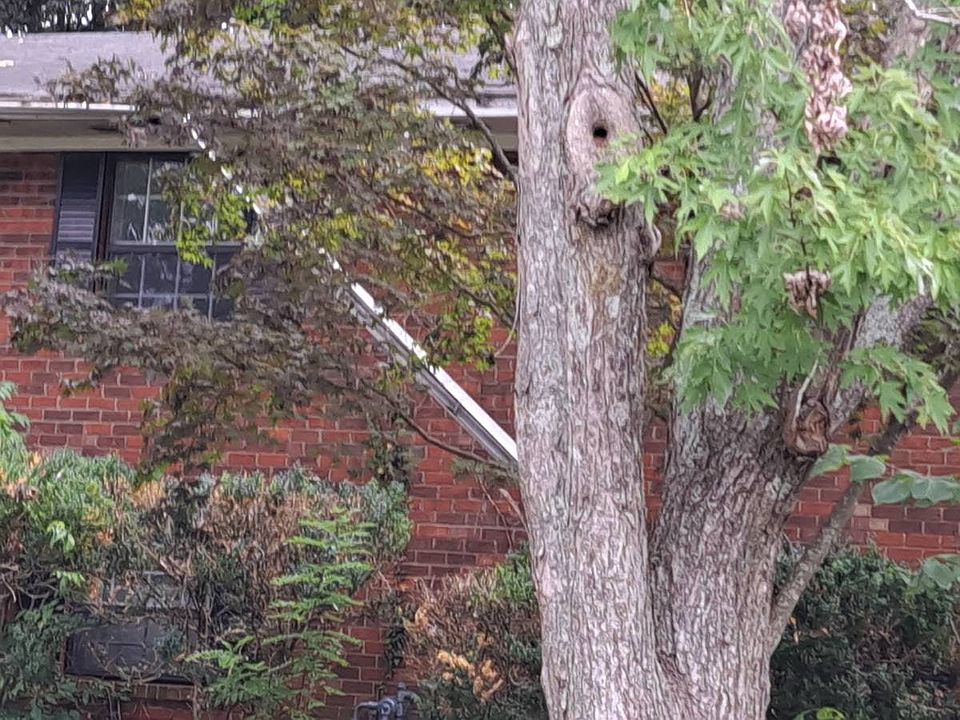 1st image of 3016 Oakland Dr NW