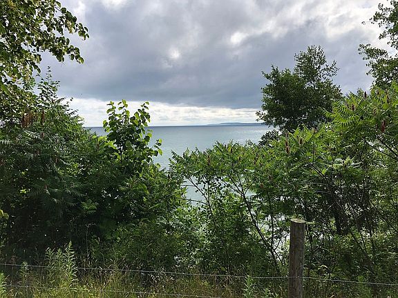 View from the vineyard