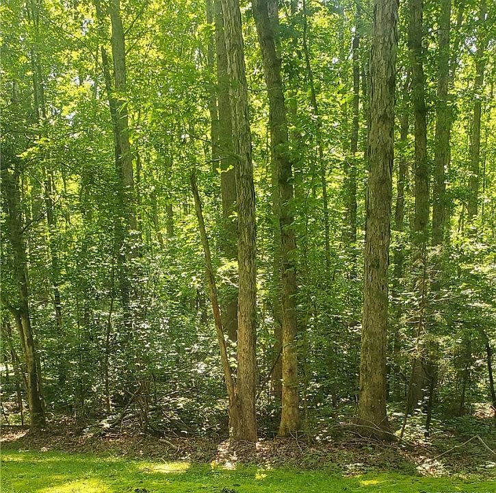 4601 Hadensville Farm Ln, Mineral, VA 23117 MLS 2316780 Zillow